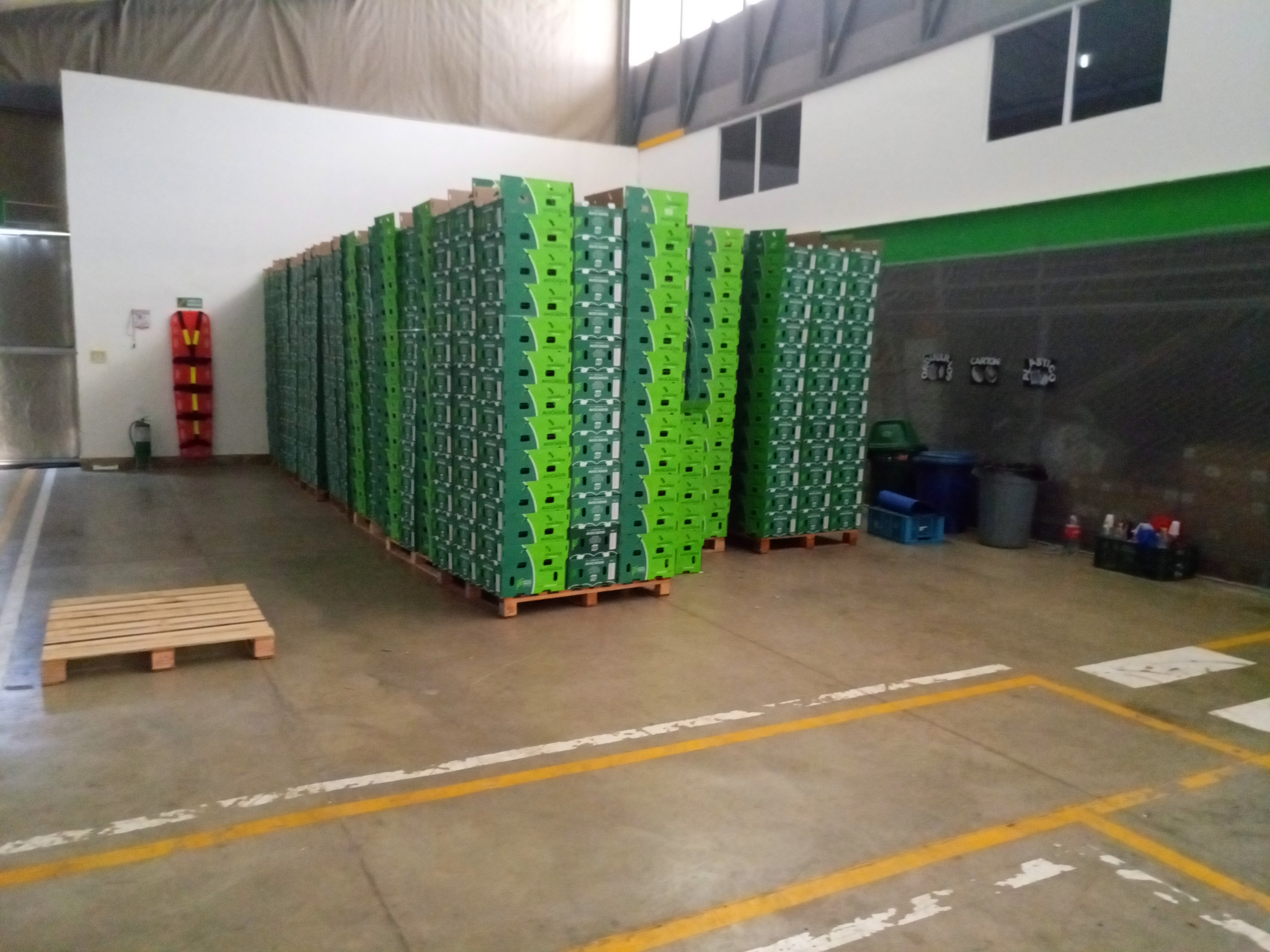 Fruta fresca Dorado División